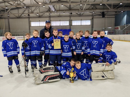 Результаты 2 тура Межрегионального первенства по хоккею с шайбой "Золотое кольцо" среди юношей 2016-2017 годов рождения.