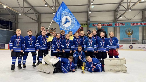 2 тур Межрегионального первенства по хоккею с шайбой "Золотое кольцо" среди юношей 2014-2015 годов рождения.