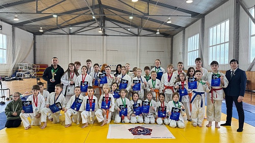  Итоги Открытого Первенства Вельского района по джиу-джитсу