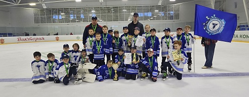 17-18 мая в п. Березник Устьянского района состоялся Межрегиональный турнир по хоккею с шайбой среди команд команд 2016 г.р. "КУБОК УЛК" 