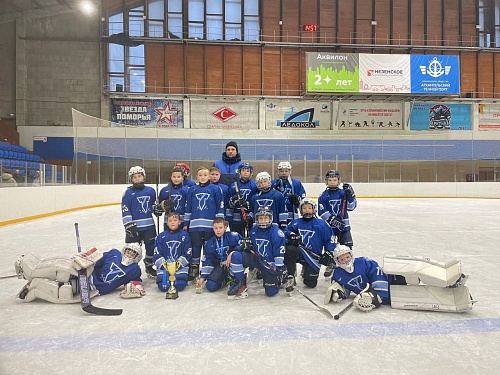 Региональный этап всероссийских соревнований юных хоккеистов «Золотая шайба» среди команд юношей 2014-2015 г.р.